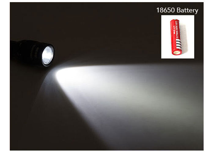 Raylight Flashlight CREE XML-L2 LED 8000LM Rechargeable 2x18650 Battery Lamp Waterproof